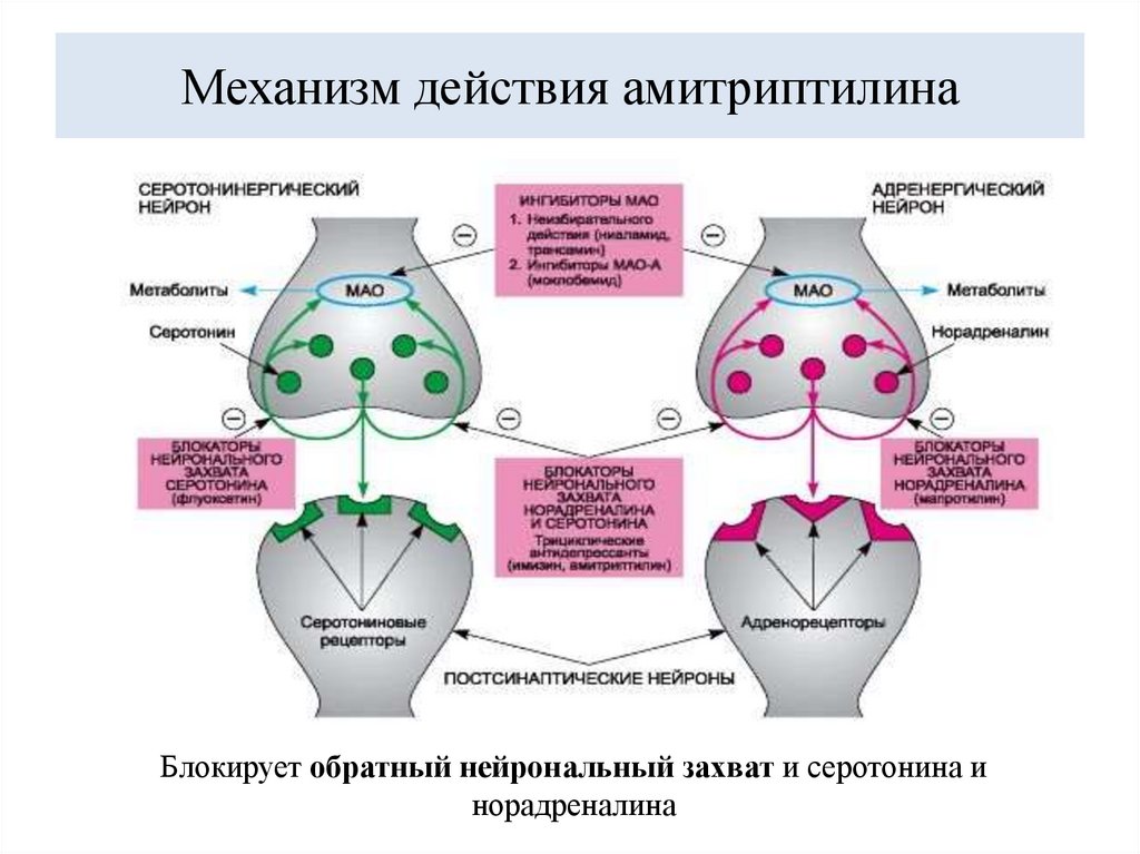 Механизм действия амитриптилина
