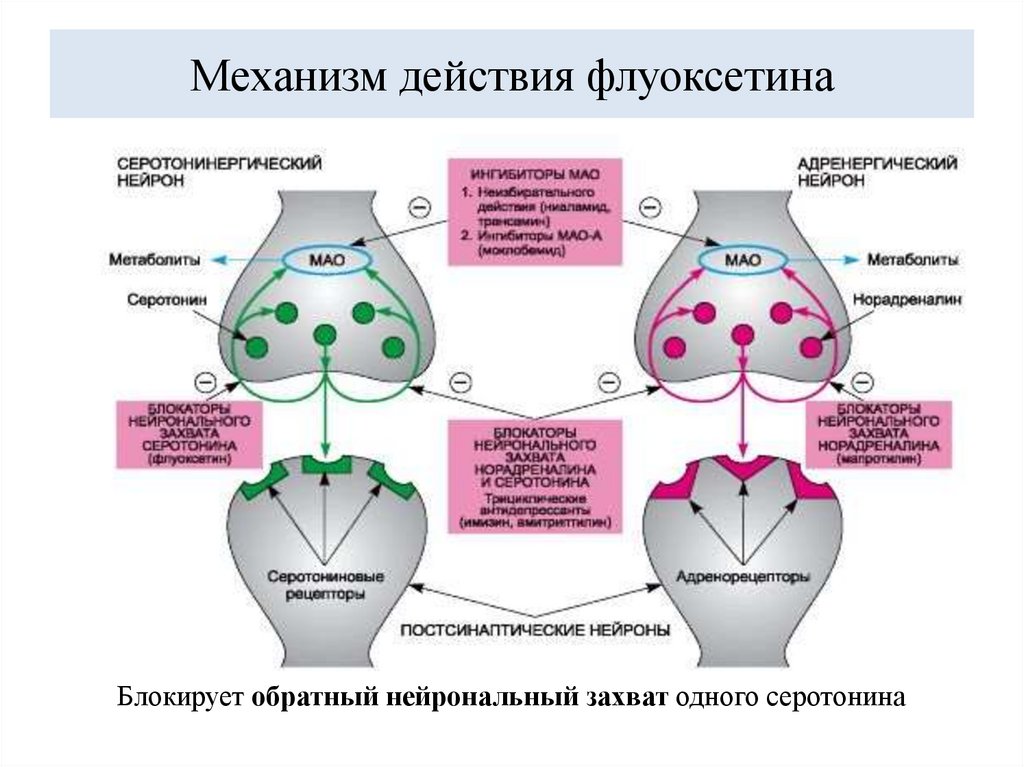 Механизм действия флуоксетина