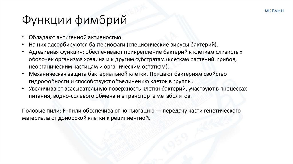 Функции фимбрий