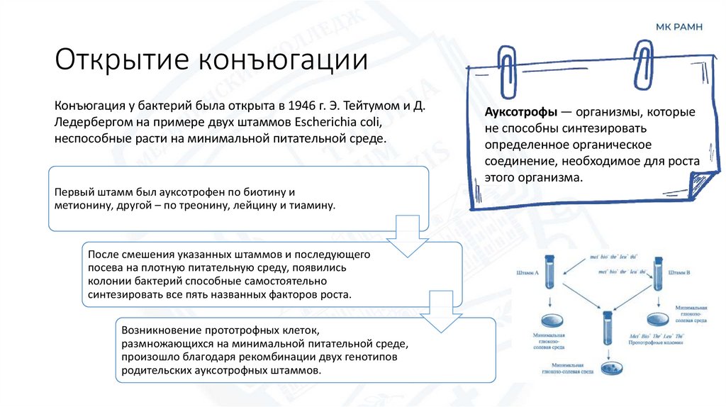 Открытие конъюгации