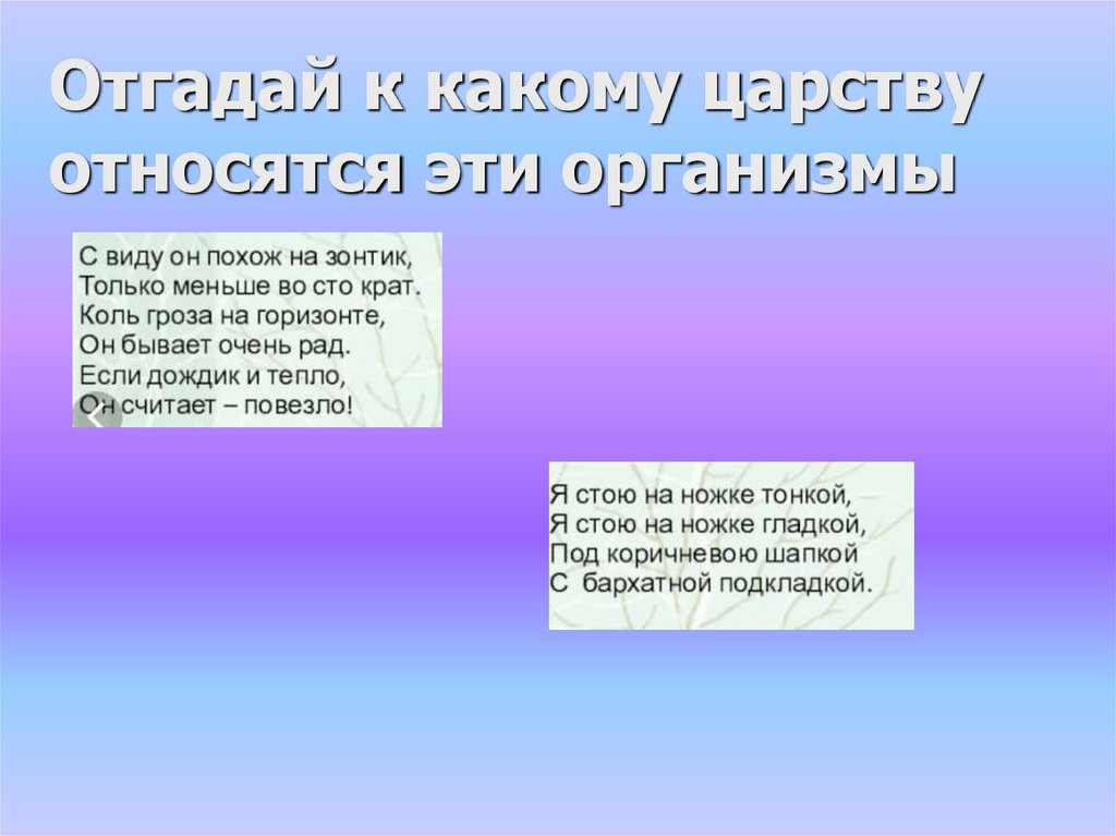 Отгадай к какому царству относятся эти организмы