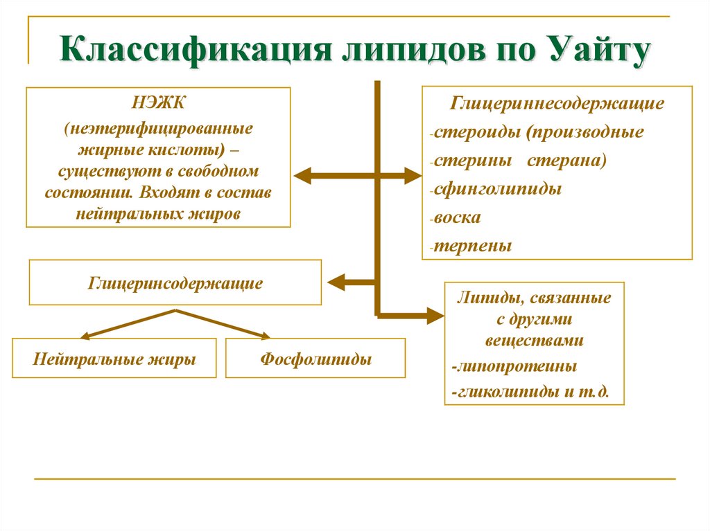 Классификация липидов по Уайту