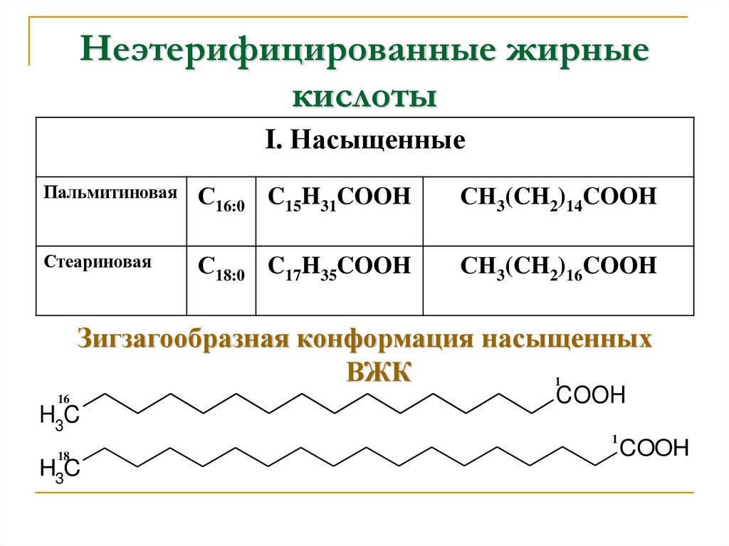 Неэтерифицированные жирные кислоты