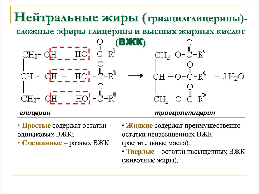 Нейтральные жиры (триацилглицерины)-сложные эфиры глицерина и высших жирных кислот (ВЖК)