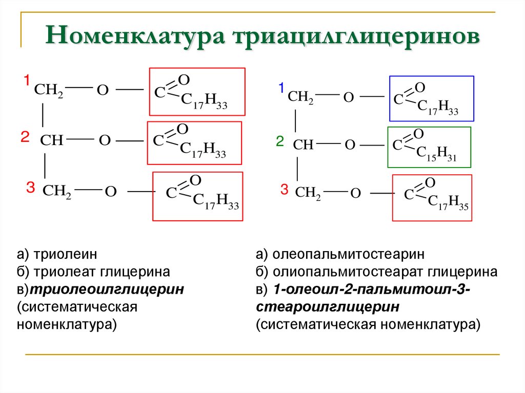 Номенклатура триацилглицеринов