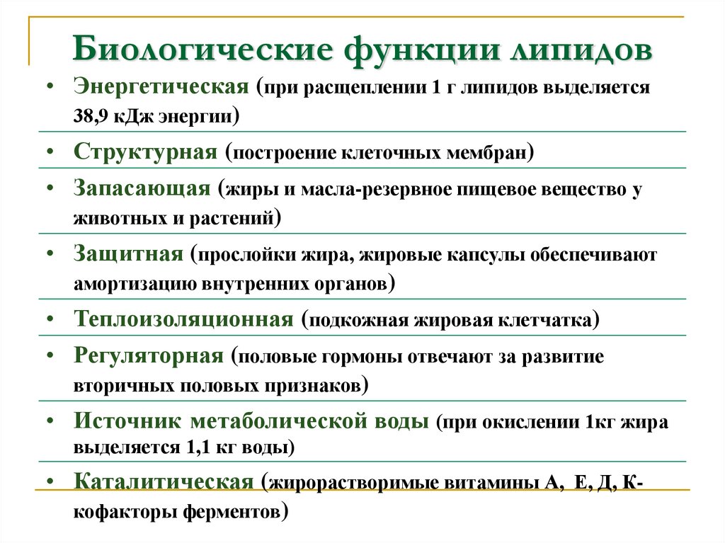 Биологические функции липидов