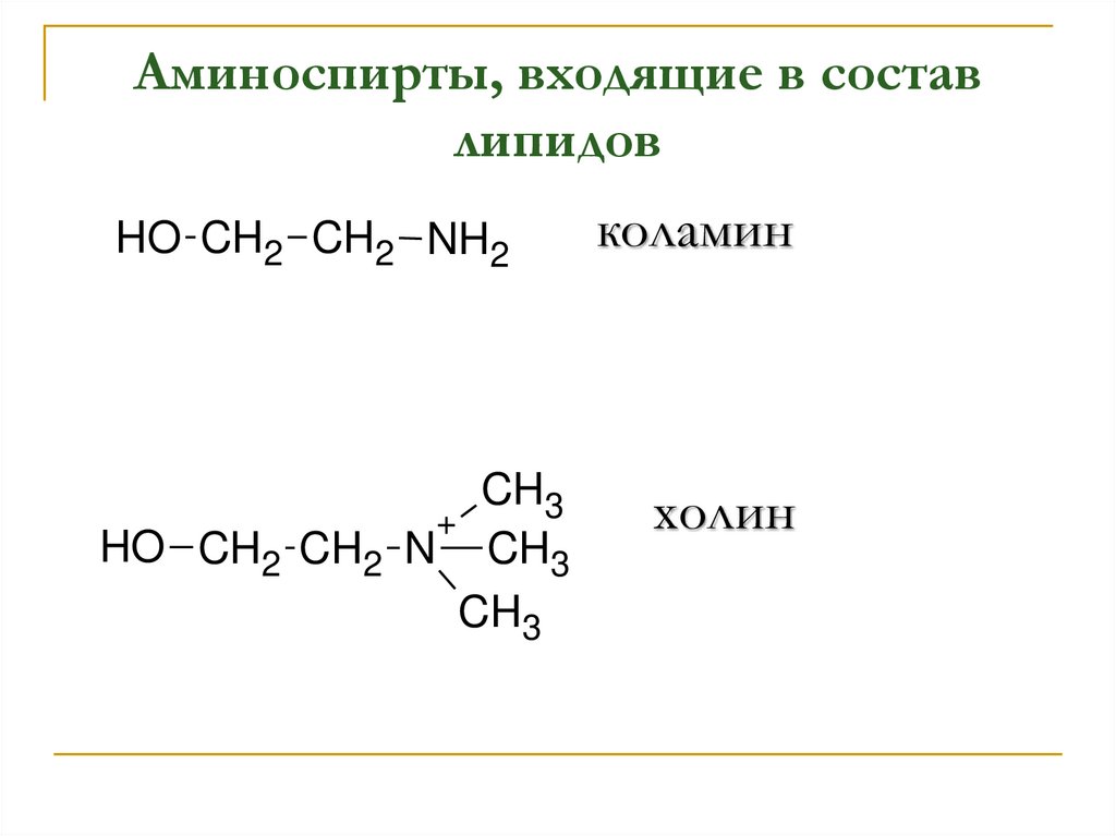 Аминоспирты, входящие в состав липидов