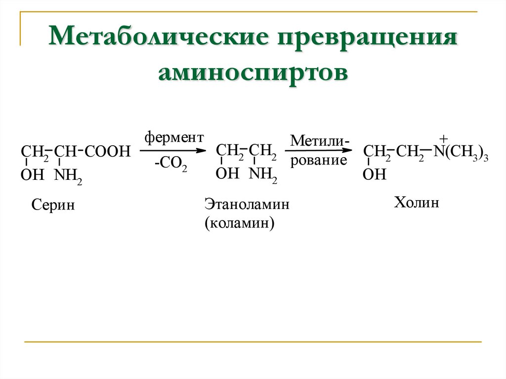 Метаболические превращения аминоспиртов