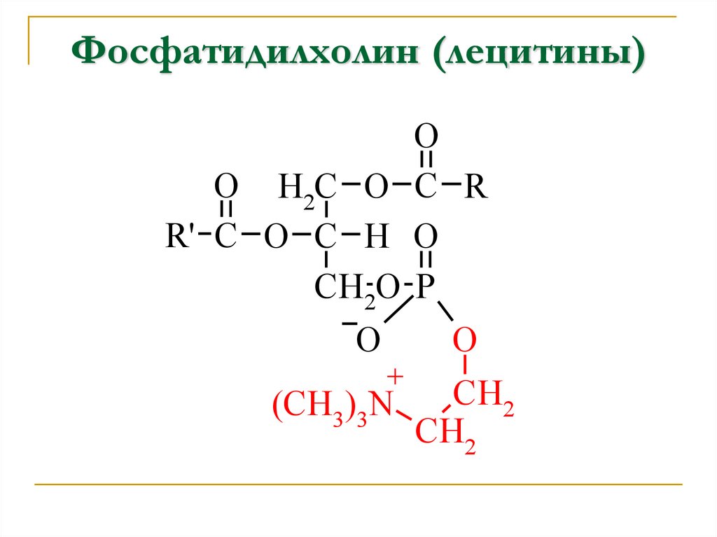 Фосфатидилхолин (лецитины)