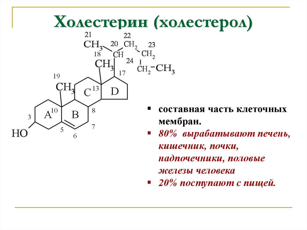 Холестерин (холестерол)