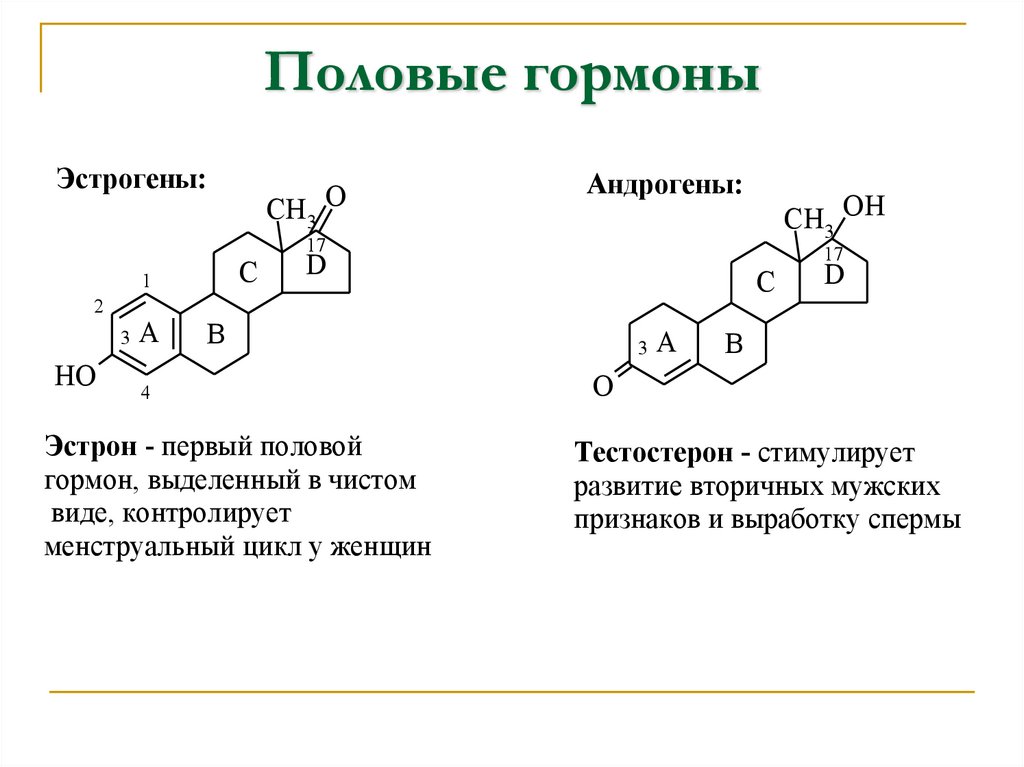 Половые гормоны