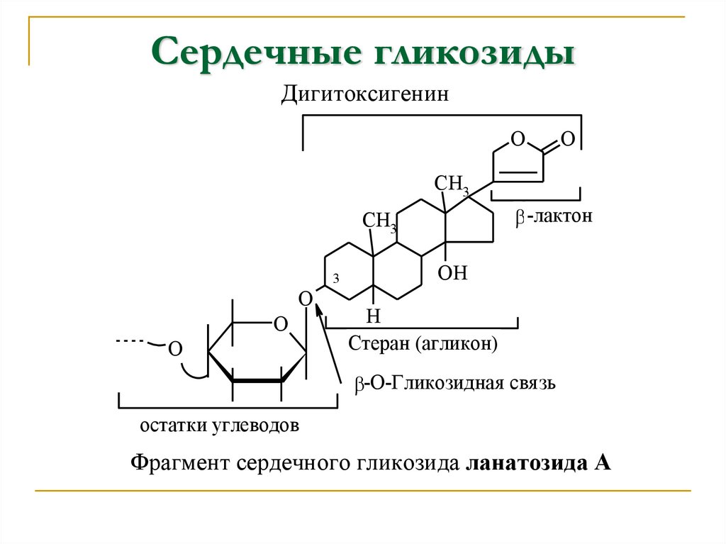 Сердечные гликозиды