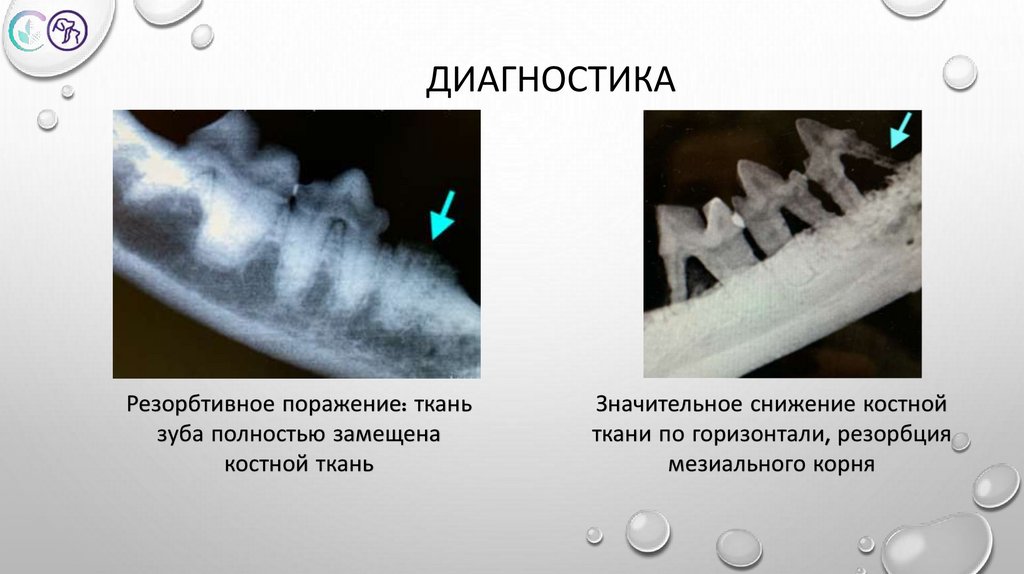 Диагностика