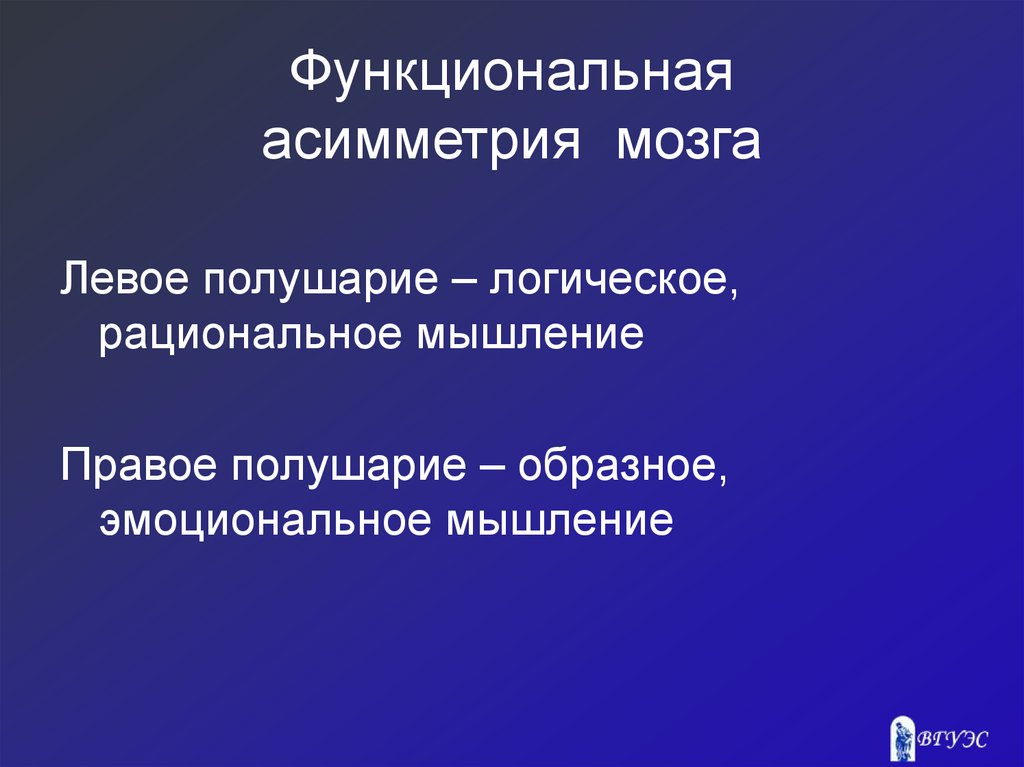 Функциональная асимметрия мозга