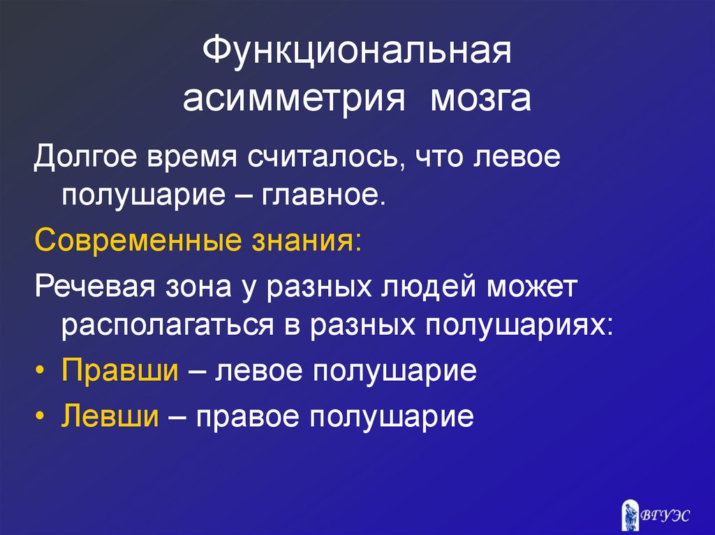 Функциональная асимметрия мозга