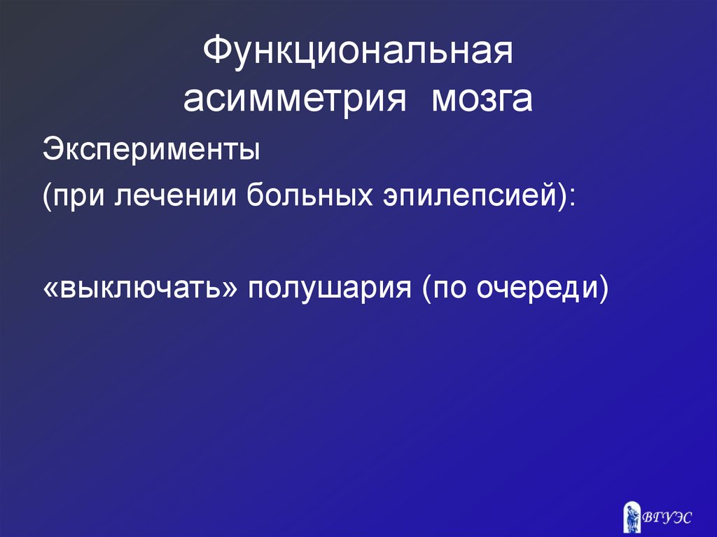 Функциональная асимметрия мозга