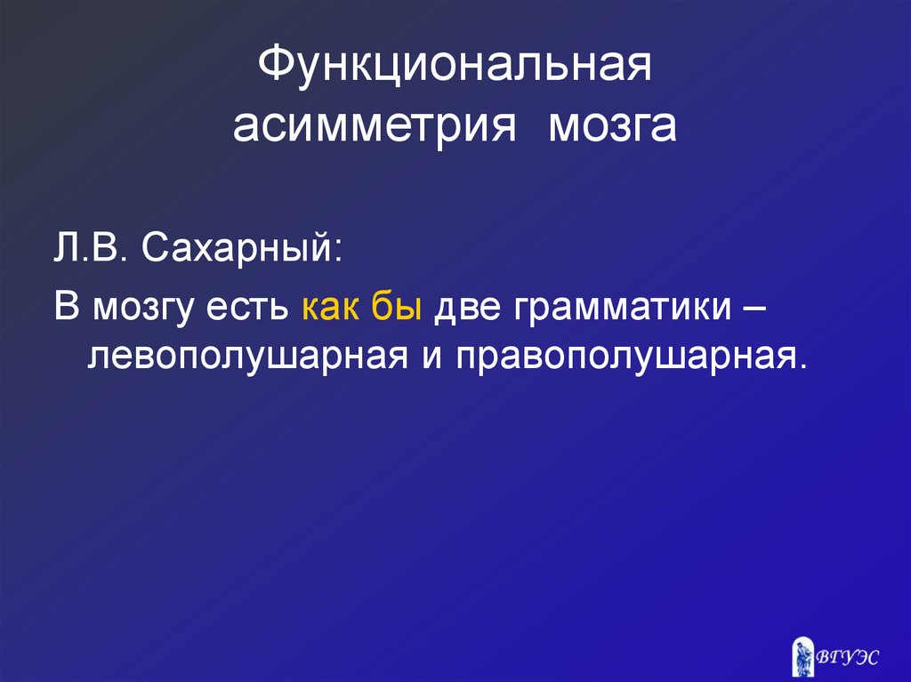 Функциональная асимметрия мозга