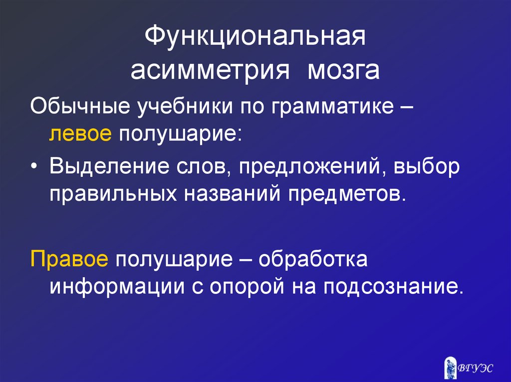 Функциональная асимметрия мозга