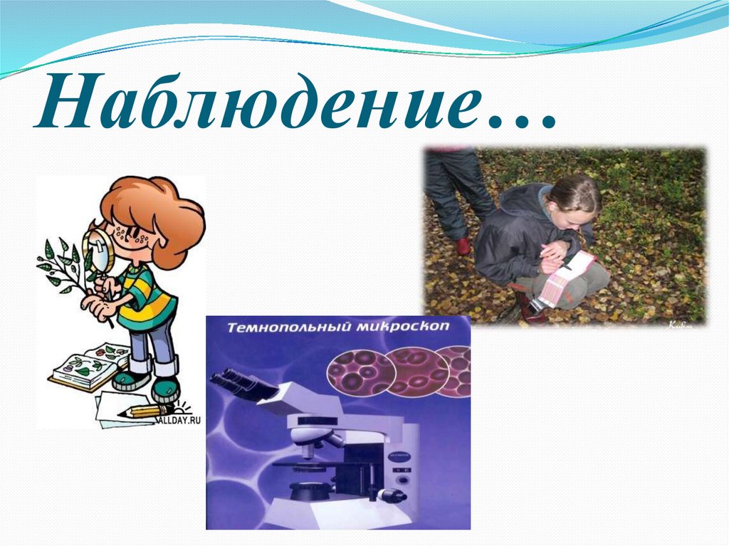 Наблюдение…