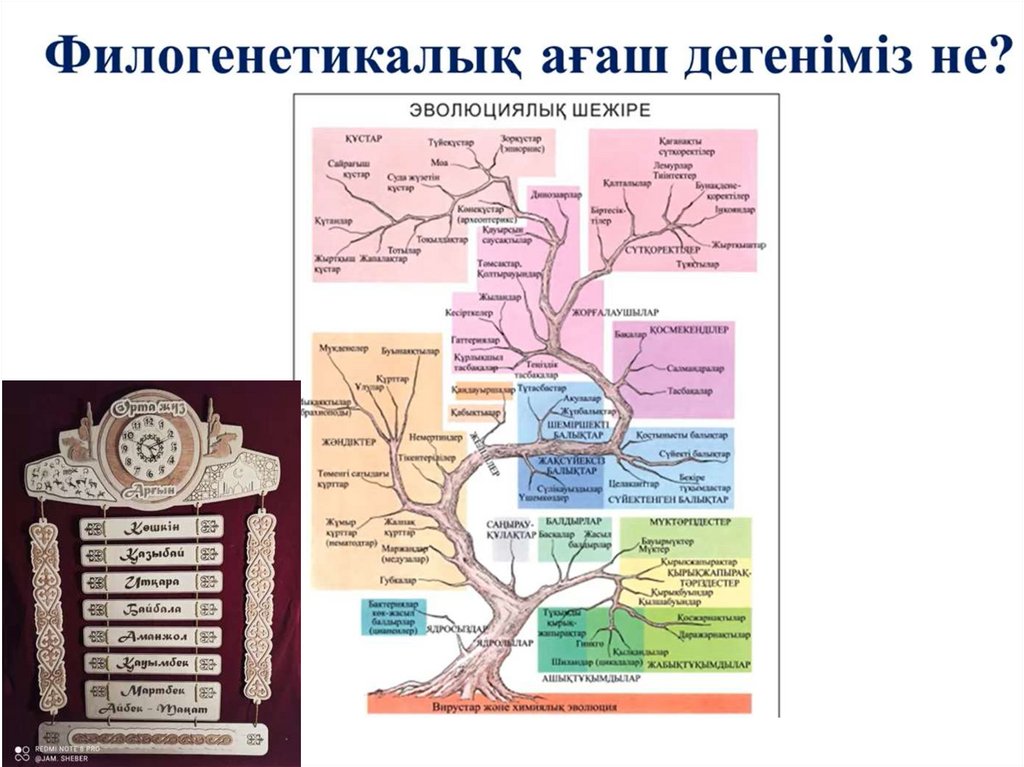 Теледидардағы жалаңаш бейнелер