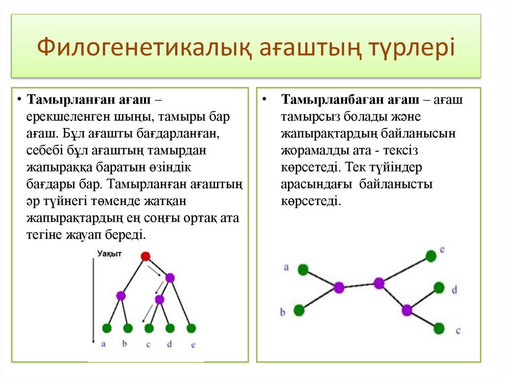Оргазмды электростимуляциялауға арналған файлдар