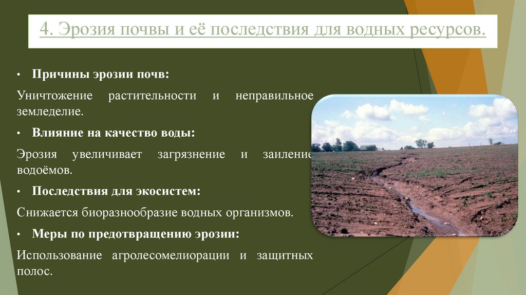 4. Эрозия почвы и её последствия для водных ресурсов.