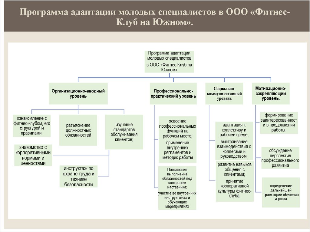 Программа адаптации молодых специалистов в ООО «Фитнес-Клуб на Южном».