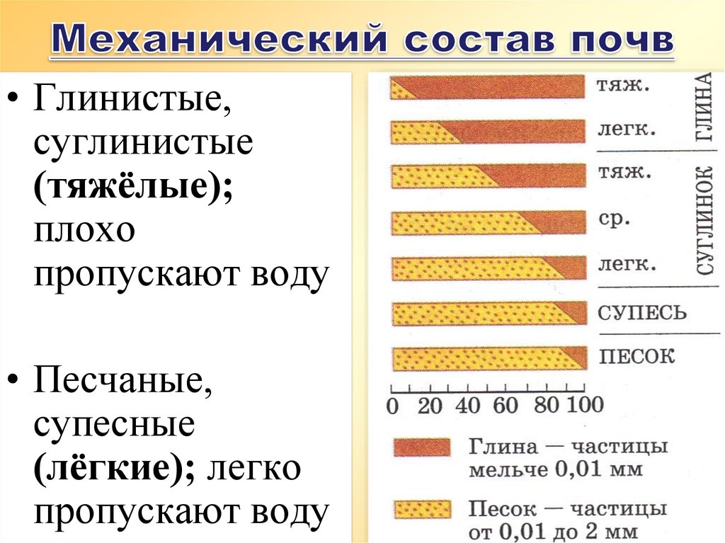 Механический состав почв