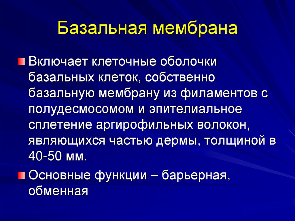 Базальная мембрана