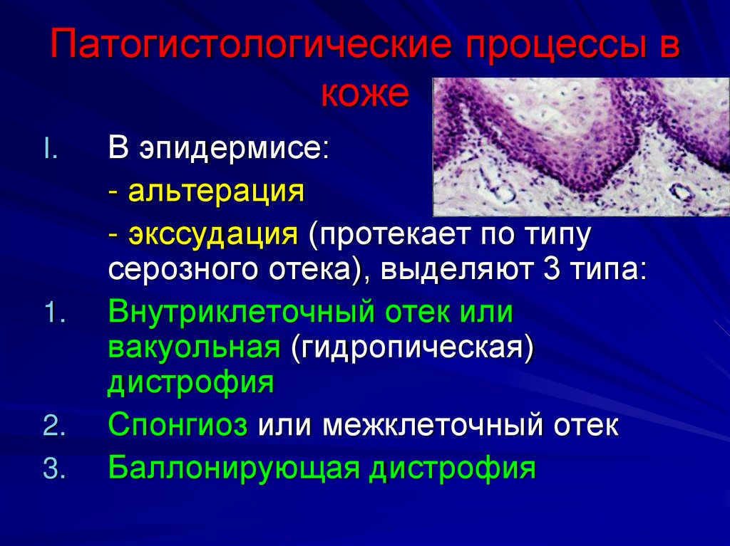 Патогистологические процессы в коже