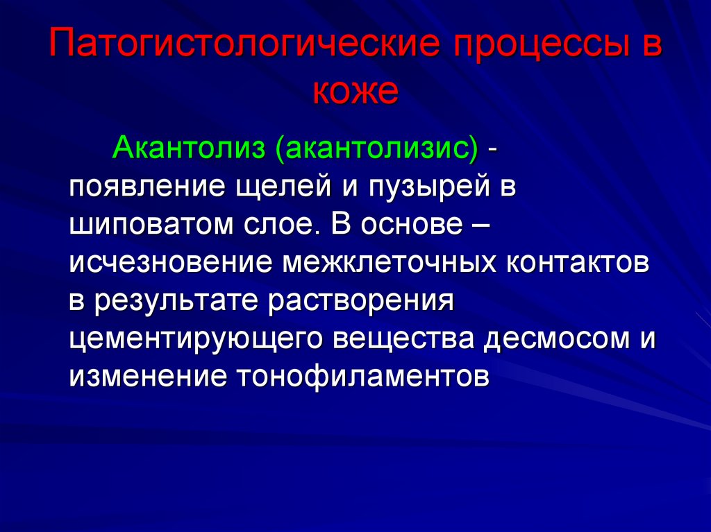 Патогистологические процессы в коже