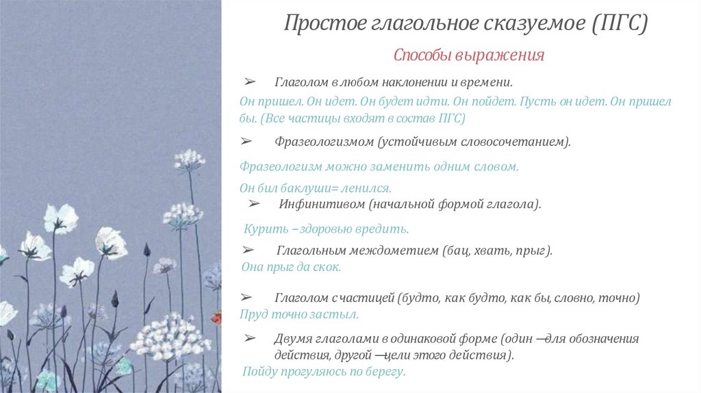 Простое глагольное сказуемое (ПГС)