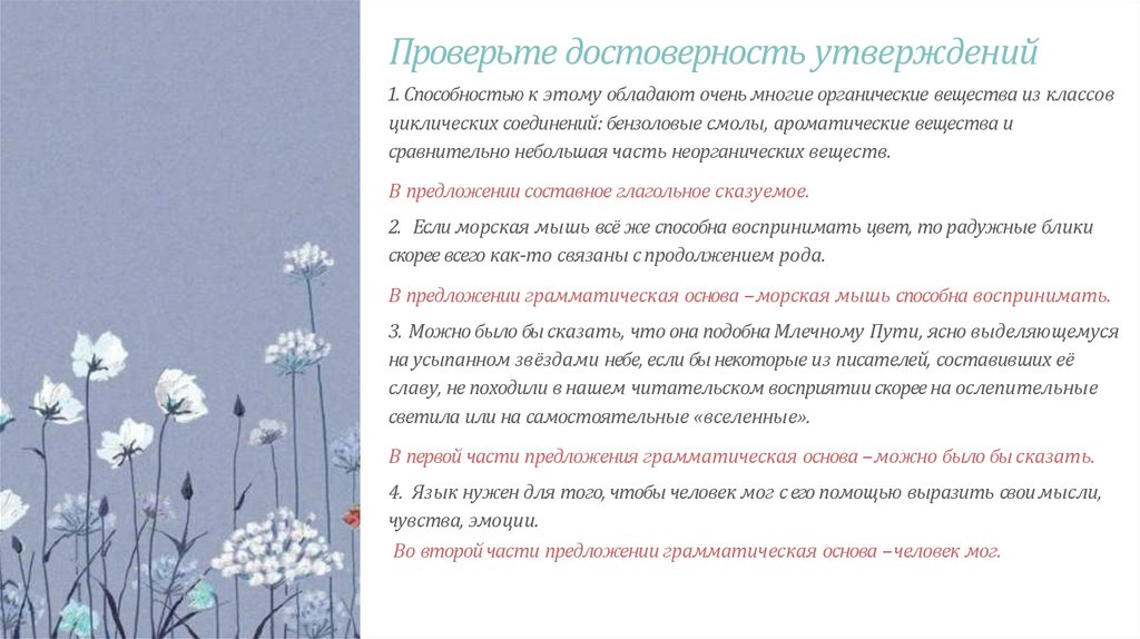 Проверьте достоверность утверждений