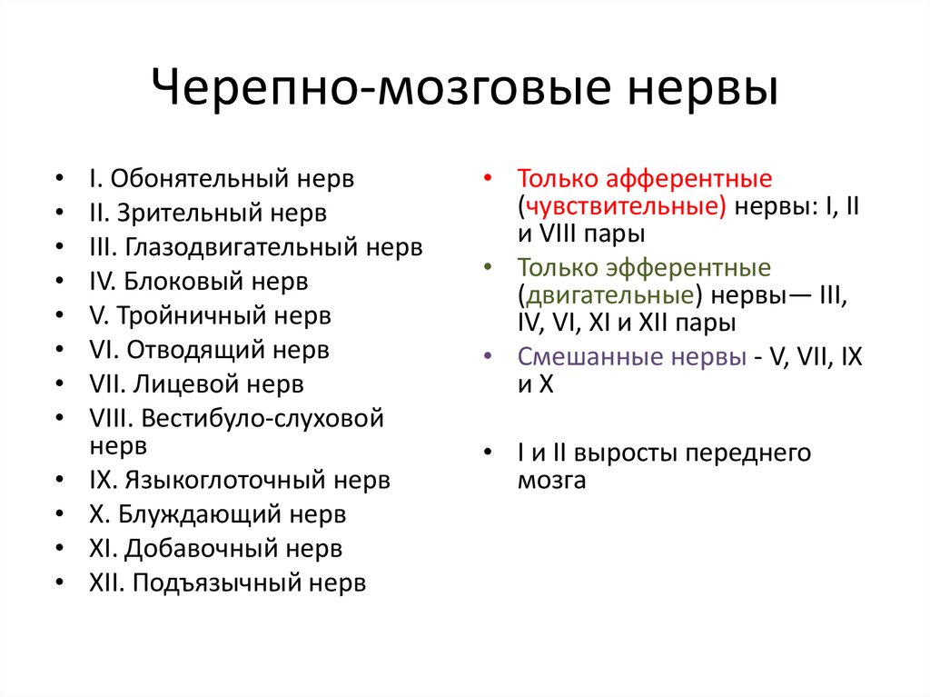 Черепно-мозговые нервы