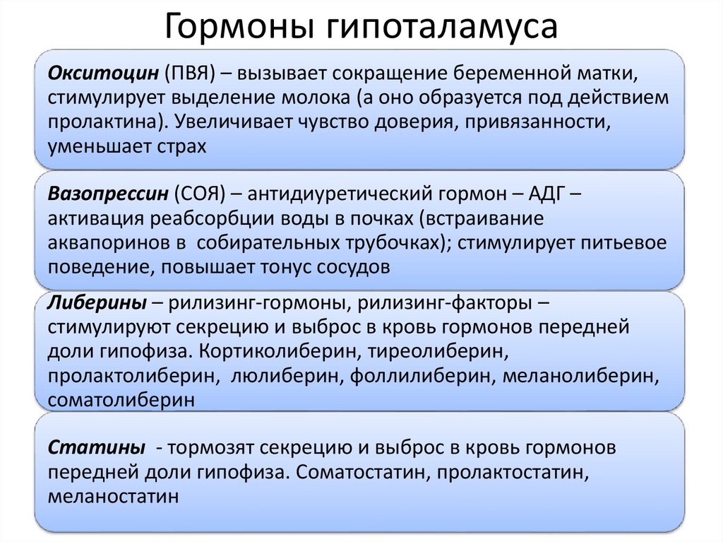 Гормоны гипоталамуса