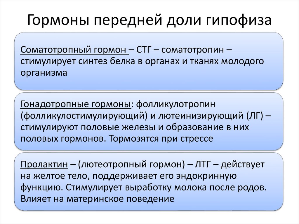 Гормоны передней доли гипофиза