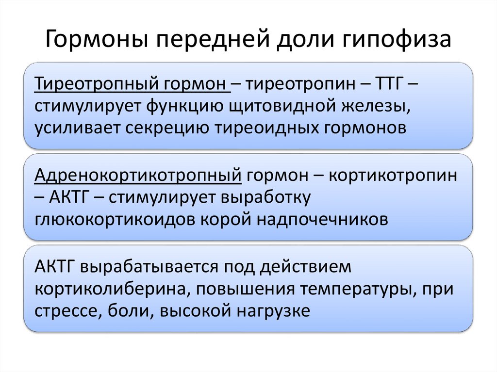 Гормоны передней доли гипофиза