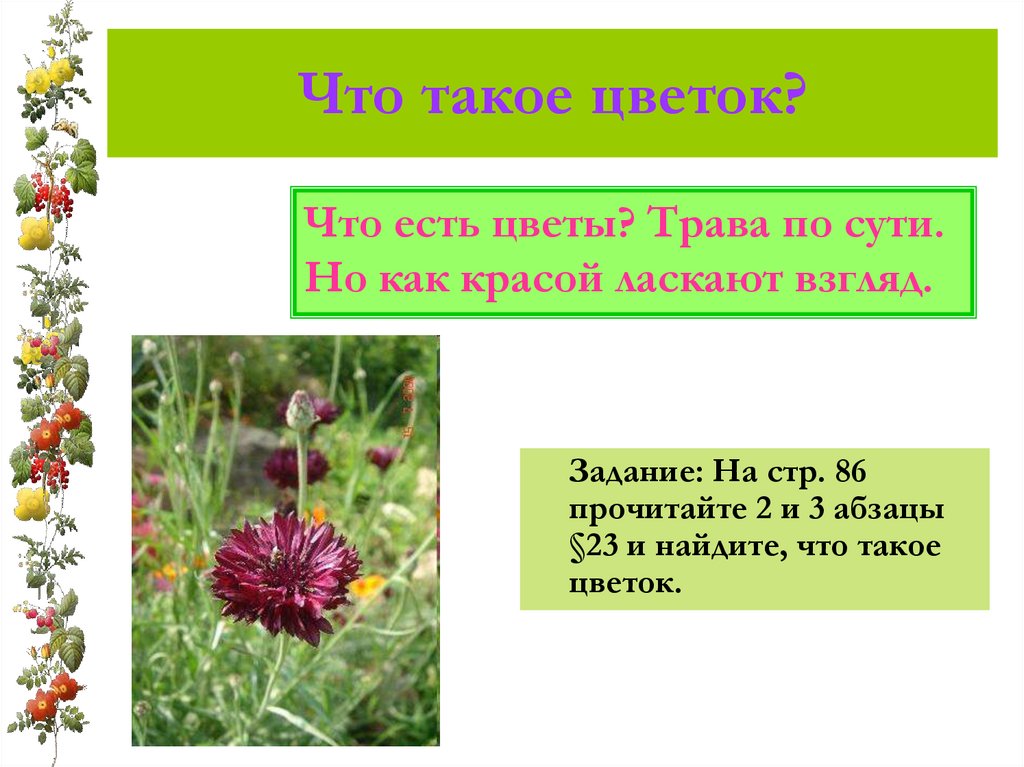 Что такое цветок?