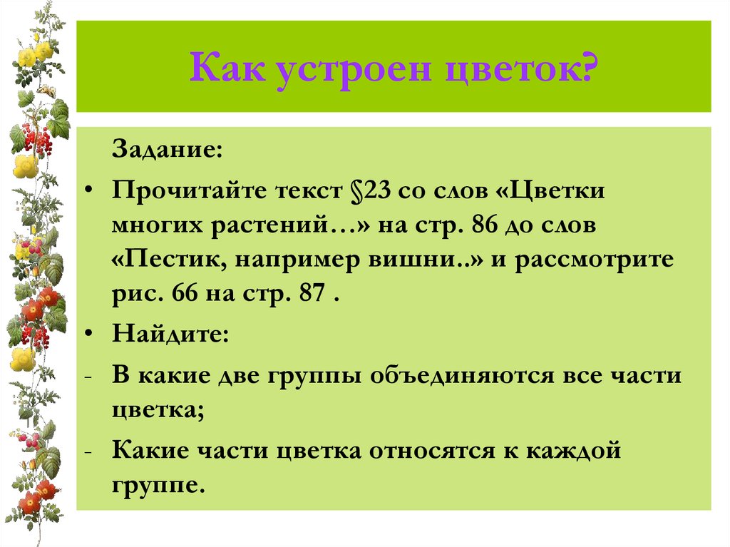 Как устроен цветок?