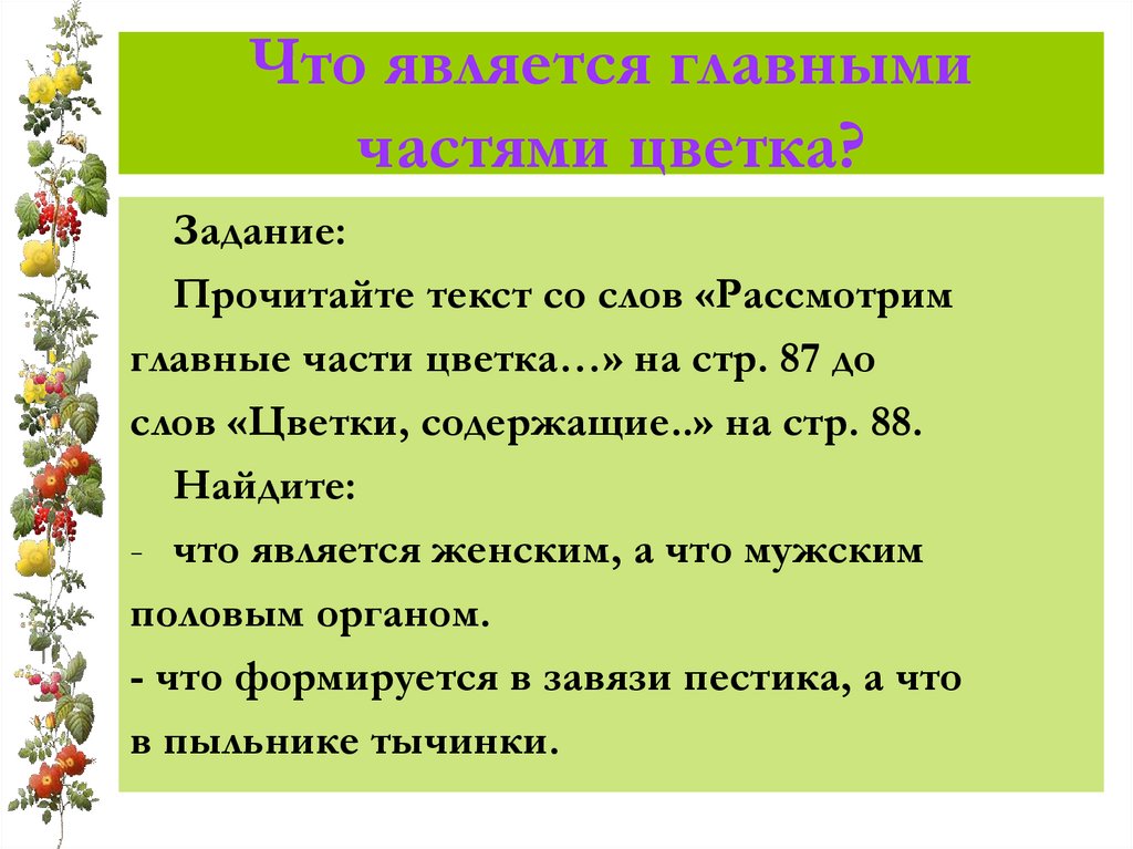 Что является главными частями цветка?