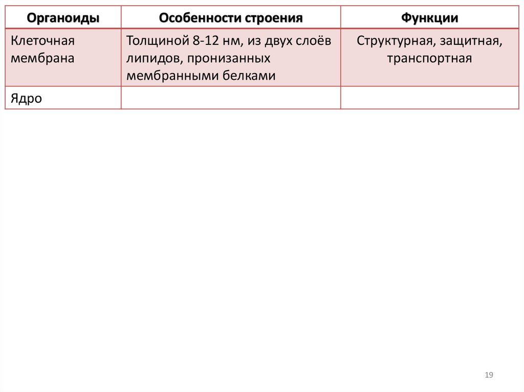 Заполните таблицу «Строение и функции органоидов клетки»