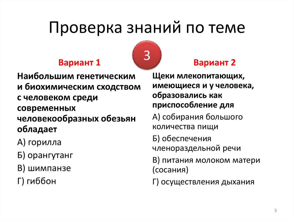 Проверка знаний по теме