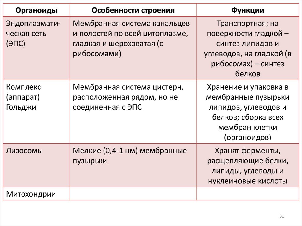 Комплекс Гольджи