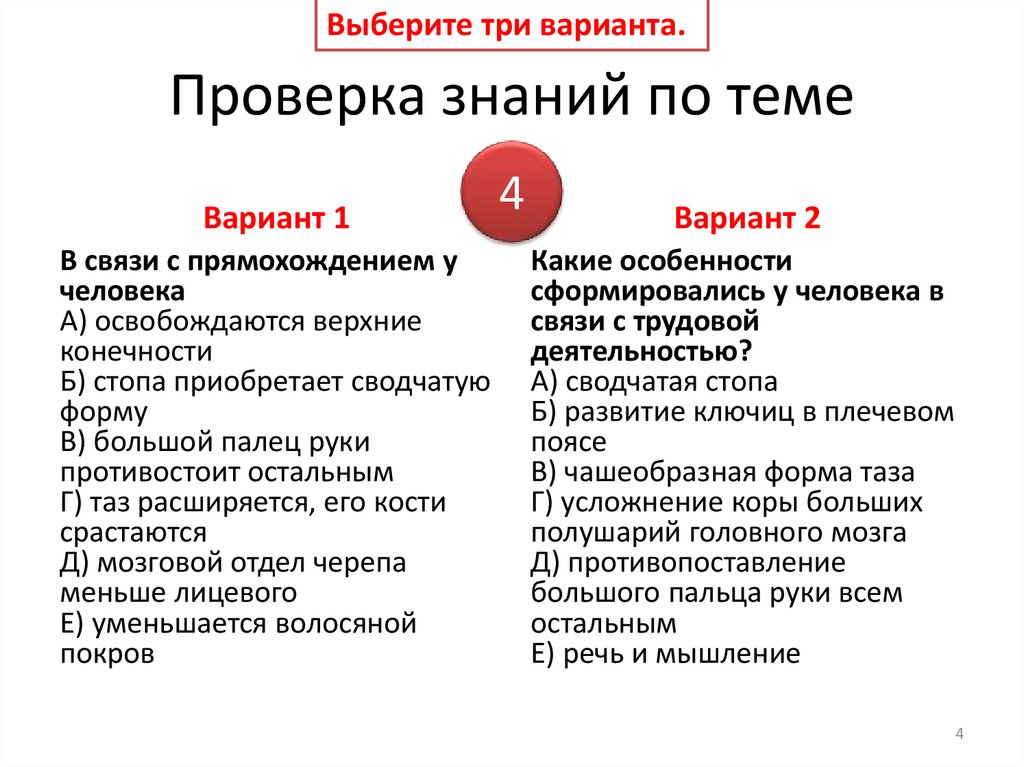 Проверка знаний по теме