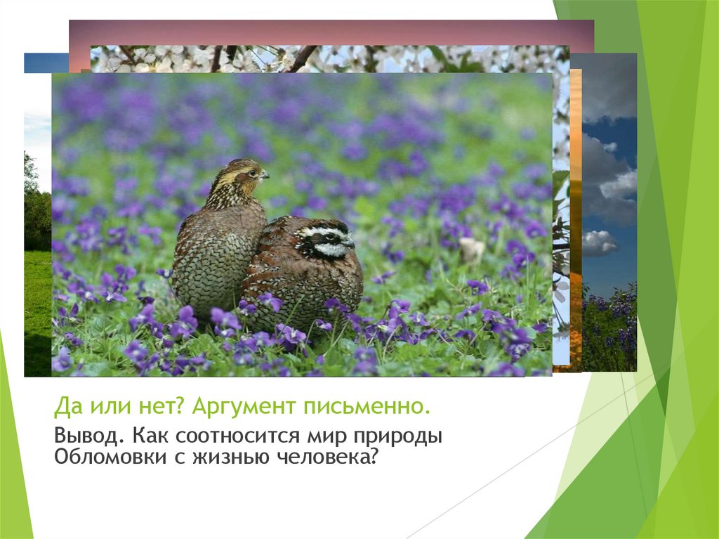 Да или нет? Аргумент письменно.