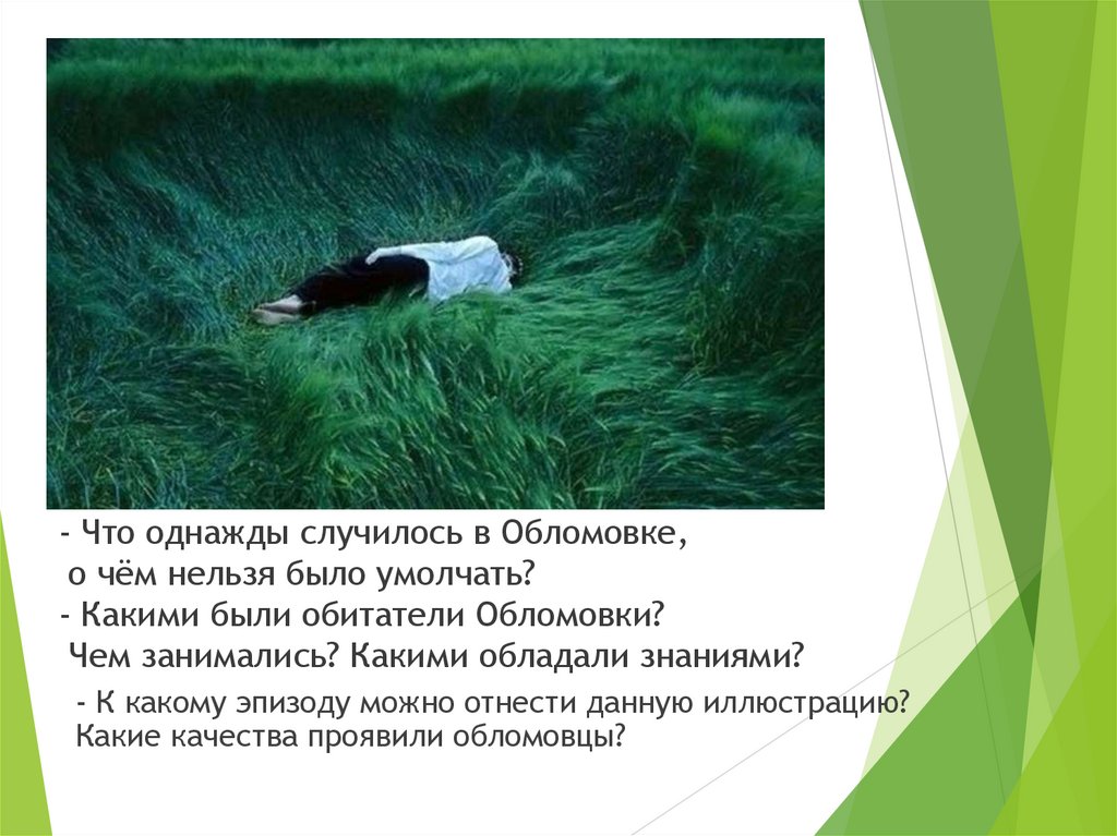 - Что однажды случилось в Обломовке, о чём нельзя было умолчать? - Какими были обитатели Обломовки? Чем занимались? Какими