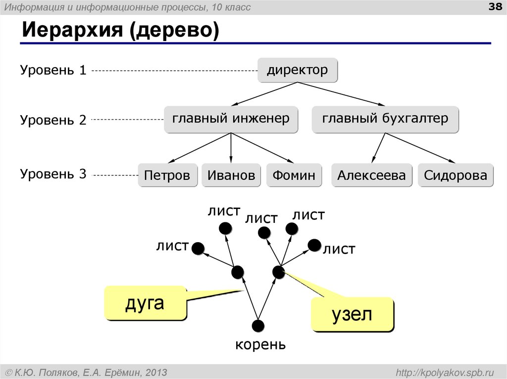 Иерархия (дерево)