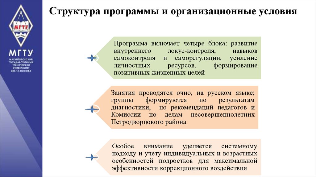 Структура программы и организационные условия