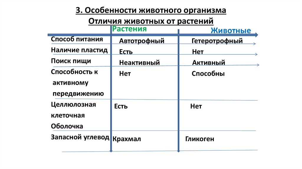 3. Особенности животного организма Отличия животных от растений