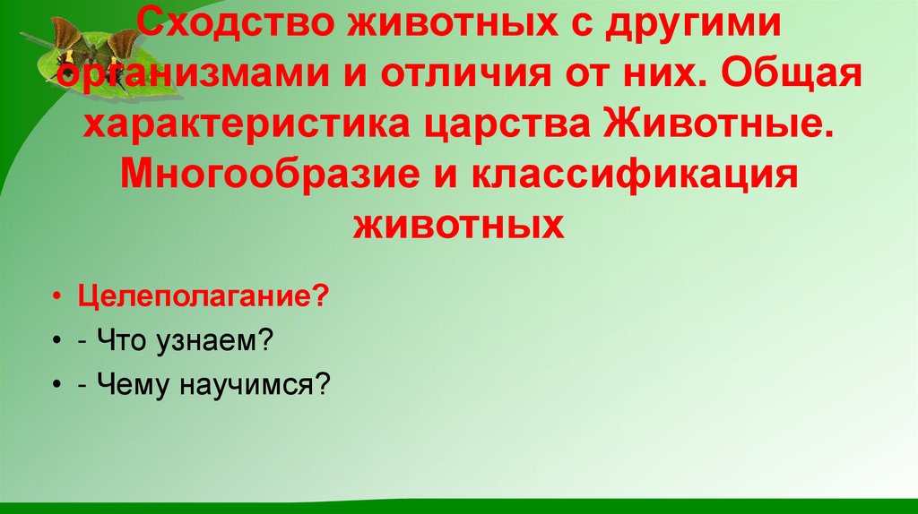 Сходство животных с другими организмами и отличия от них. Общая характеристика царства Животные. Многообразие и классификация